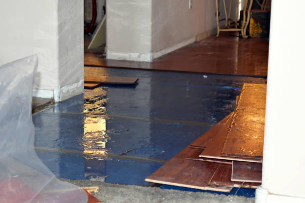 Professional Water Damage Restoration technician working in Carmel, IN